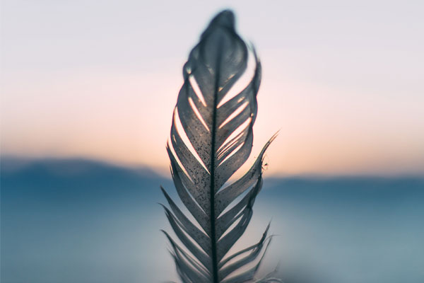 One Minute One Insight