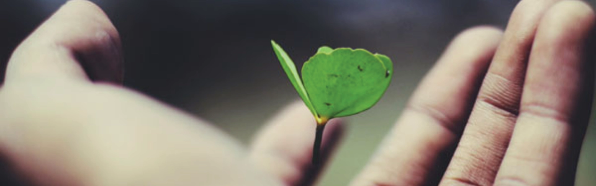 Psychology of Wellbeing